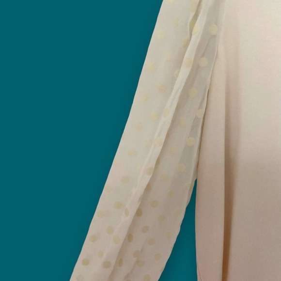 NWT Ann Taylor LOFT Blouse Cream round neck long sheer sleeves Sz Petite XXLP - Picture 5 of 6